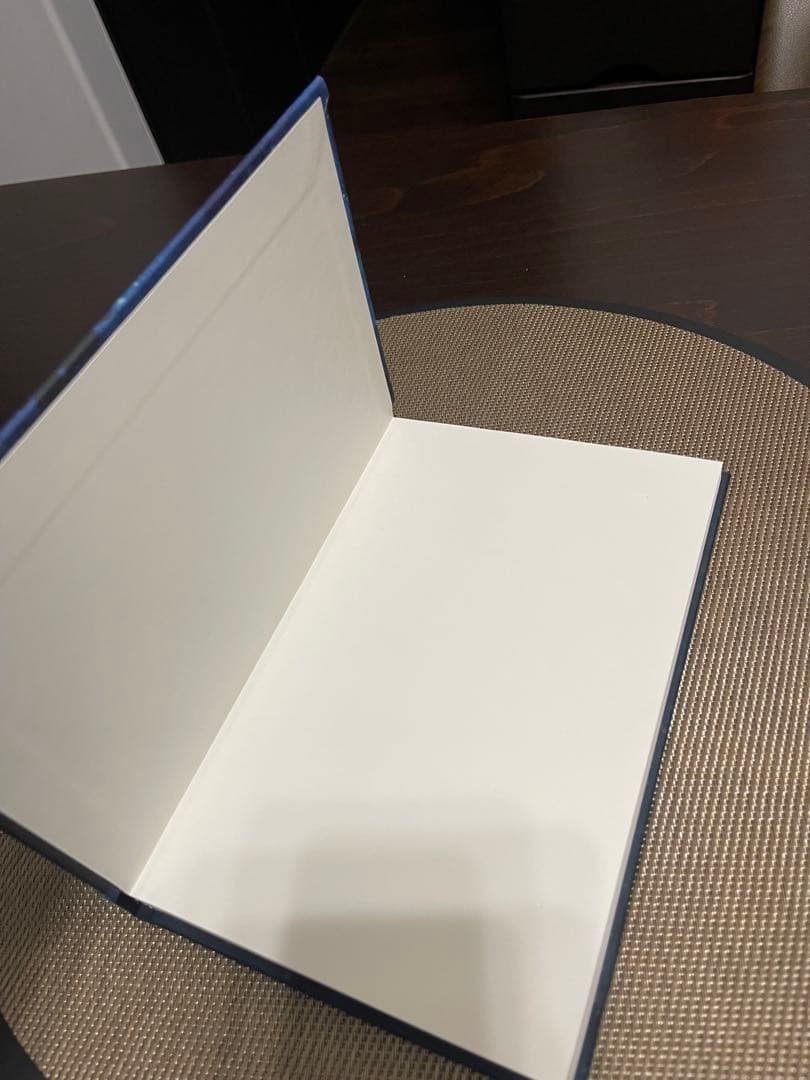 洋書 God Help the Child - Critical Essays