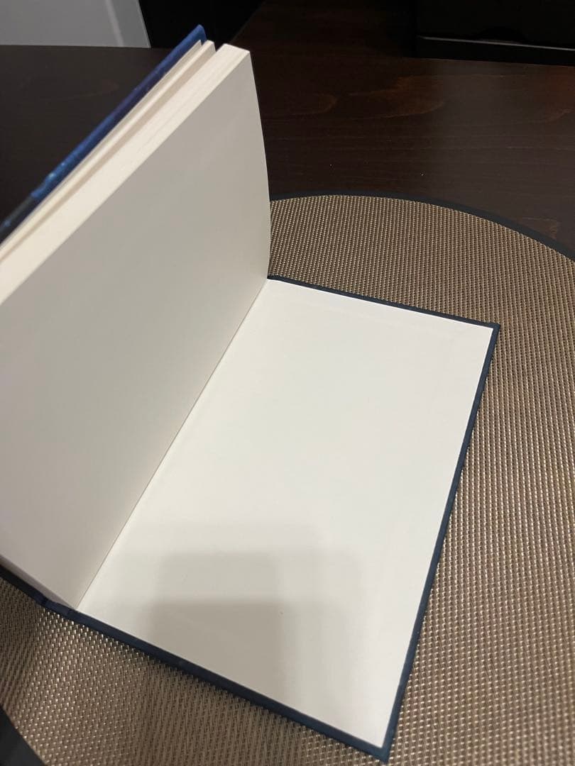 洋書 God Help the Child - Critical Essays