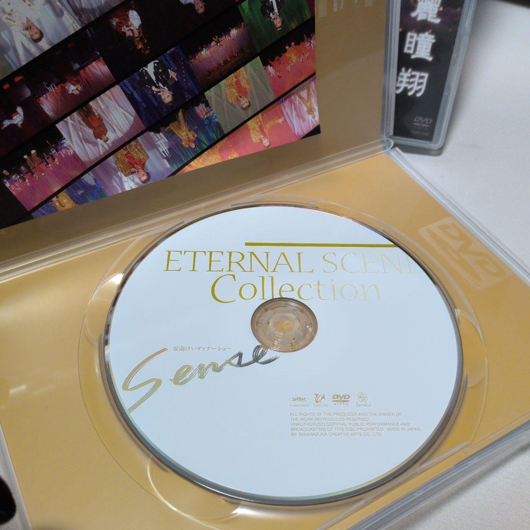 ARAN HISTORY DVD 5枚セット 宝塚 安蘭けい