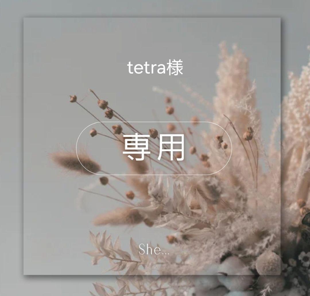 ネイルチップ・付け爪 tetra