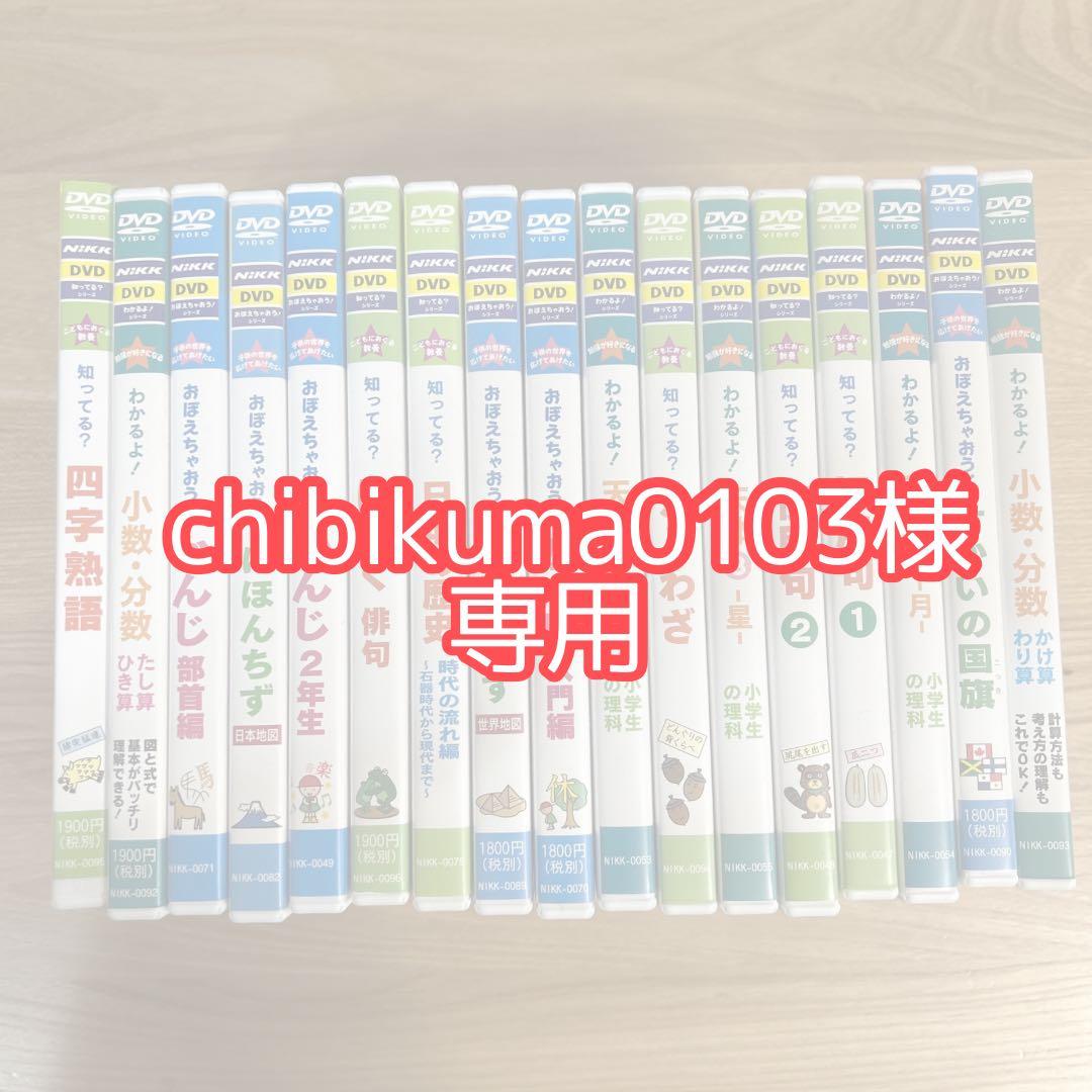 【NiKK（ニック）】DVD 14枚セット