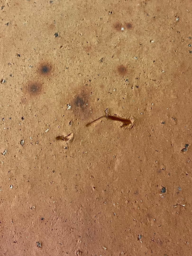 伊部　円皿　金重巌