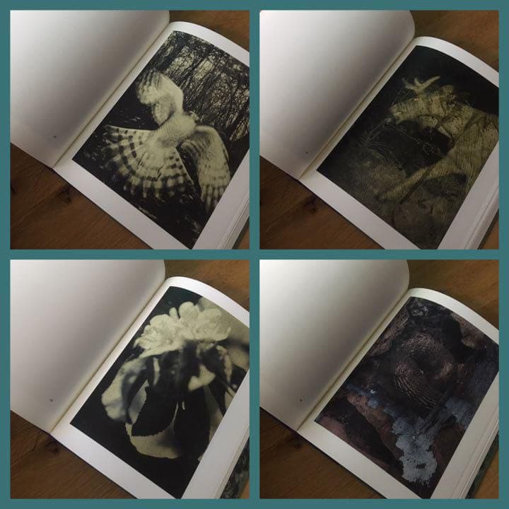 サイン入り❗️新品【Night Procession】Stephen Gill