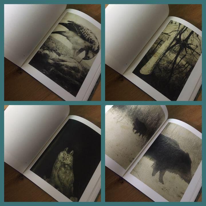 サイン入り❗️新品【Night Procession】Stephen Gill