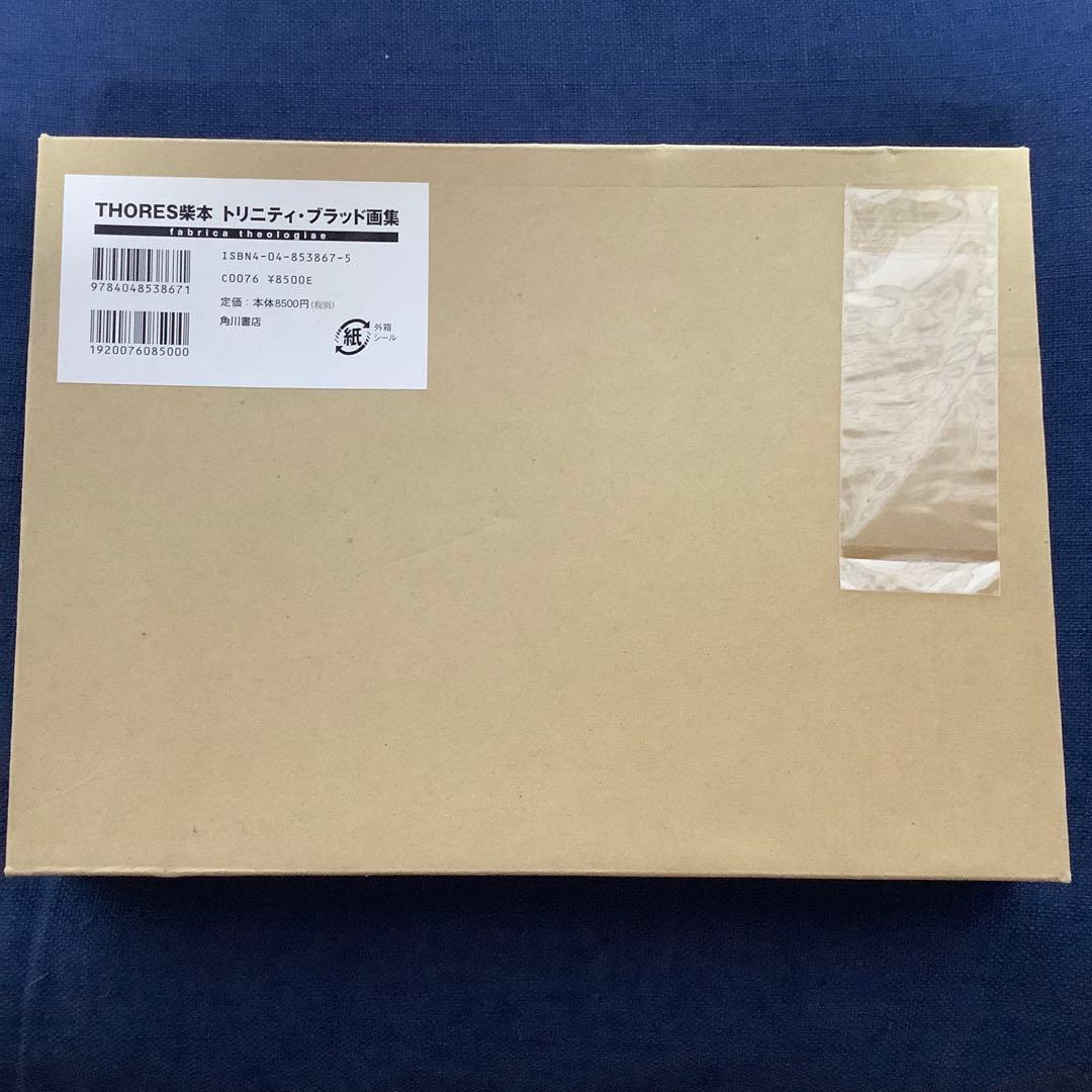 ファブリカ・テオロギア THORES柴本 トリニティ・ブラッド画集　初版