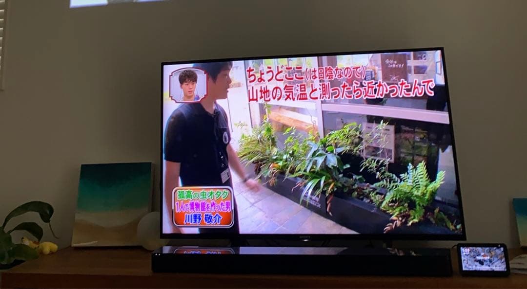 ソニー　ブラビア　49インチ　KJ-49X8000E(B) スマートテレビ