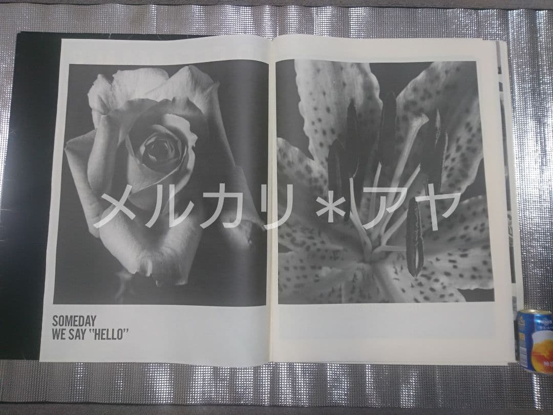 BOФWY ボウイ 超特大 ブックレット 希少品 レア コレクターズ 氷室京介