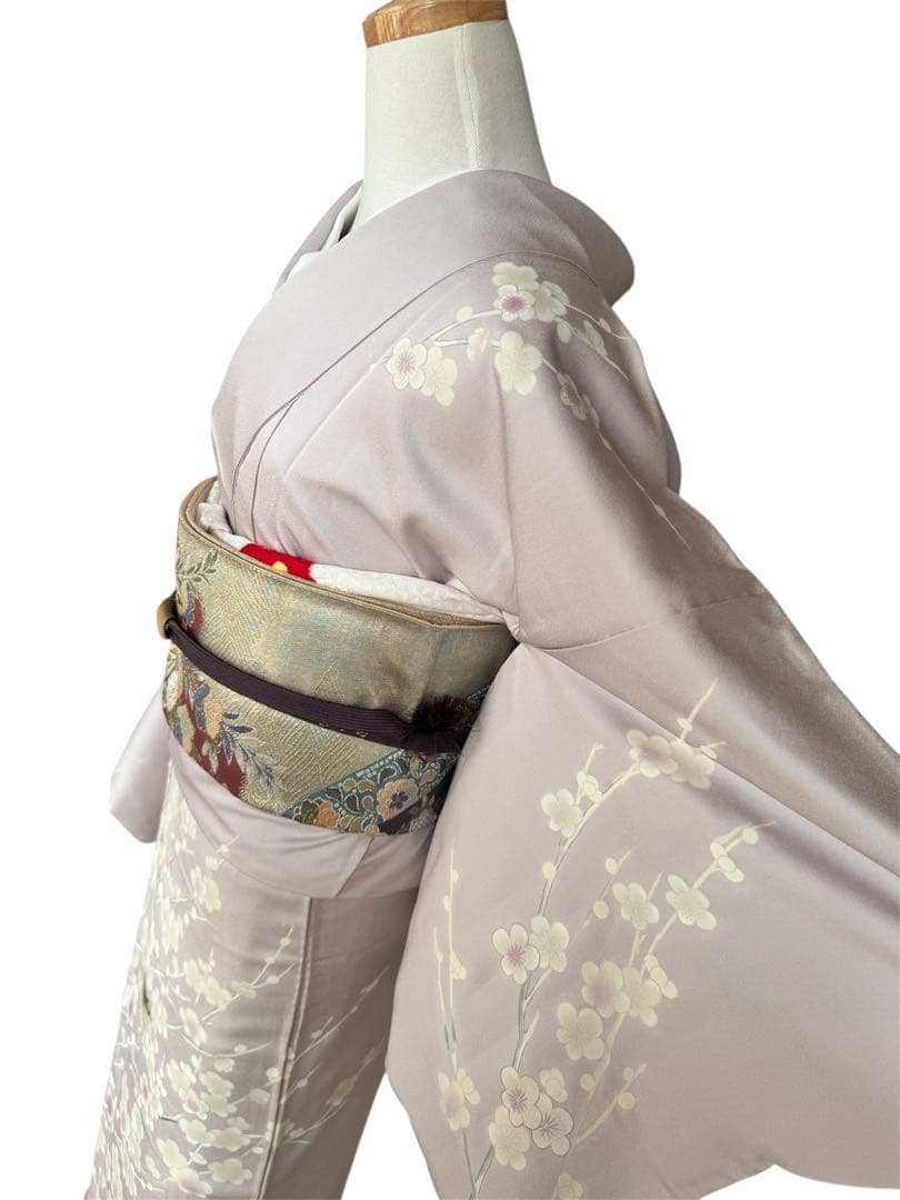 正絹訪問着　友禅染　梅枝　目白