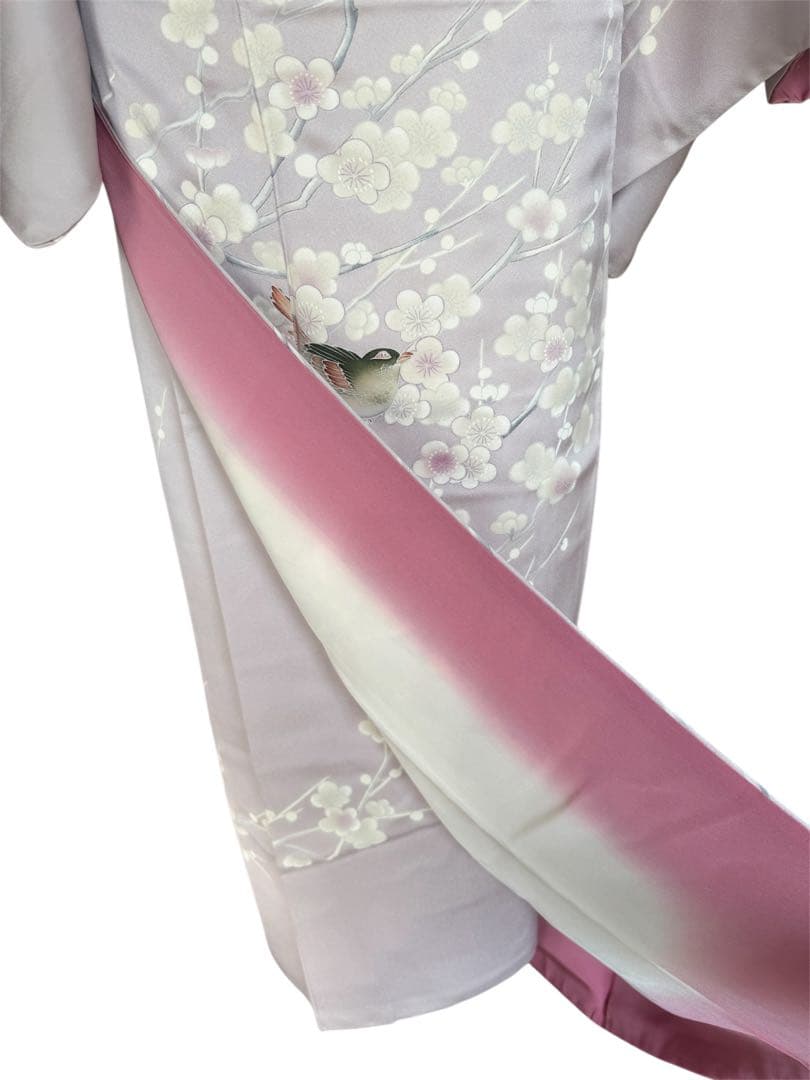 正絹訪問着　友禅染　梅枝　目白