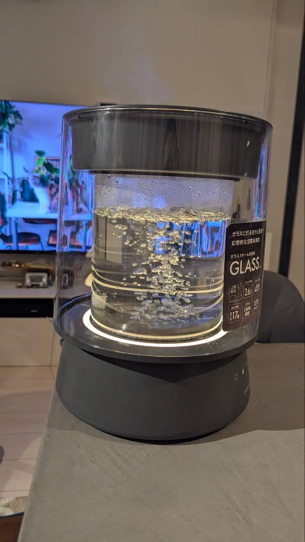 QUADS ガラス スチーム加湿器 ガラスポッド式 グレー