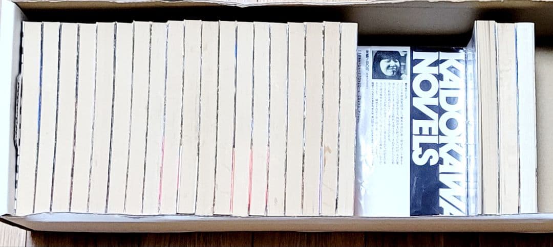 栗本薫「魔界水滸伝」1-20巻(第2部完結)　永井豪画「白銀の神話」1-2巻