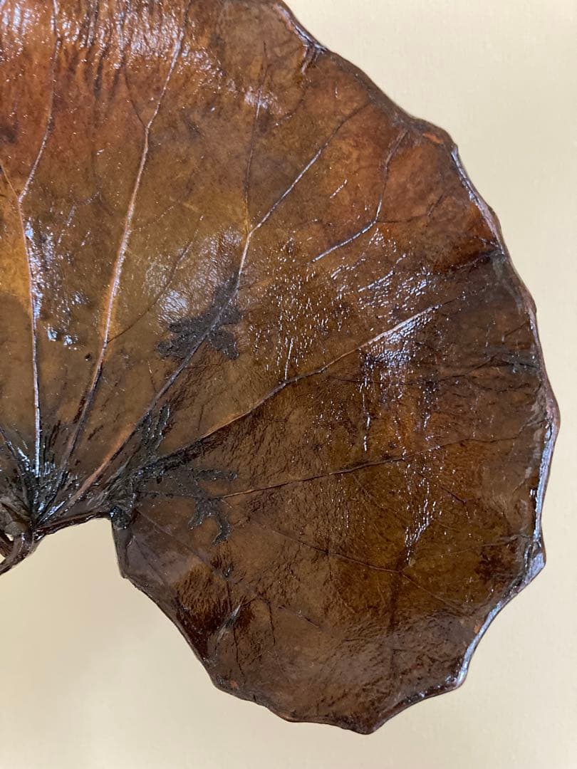 R*O様 茶道具 山中漆器 信斉作 一閑張 石蕗 干菓子盆 漆器 塗箸 共箱・栞