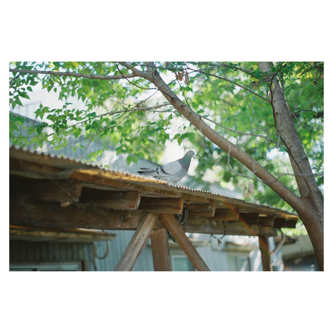 完動 ASAHI PENTAX SP 一眼レフカメラ 箱付き