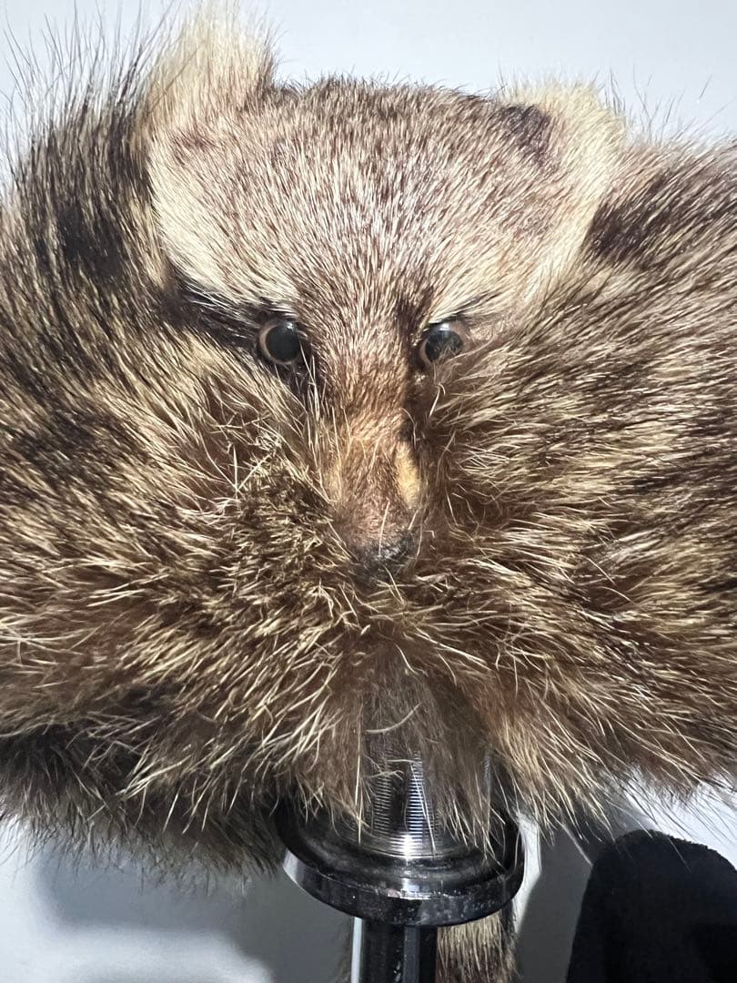 CA4LA リアルファー　ファー製動物頭部デザイン帽子　ロシアンハット