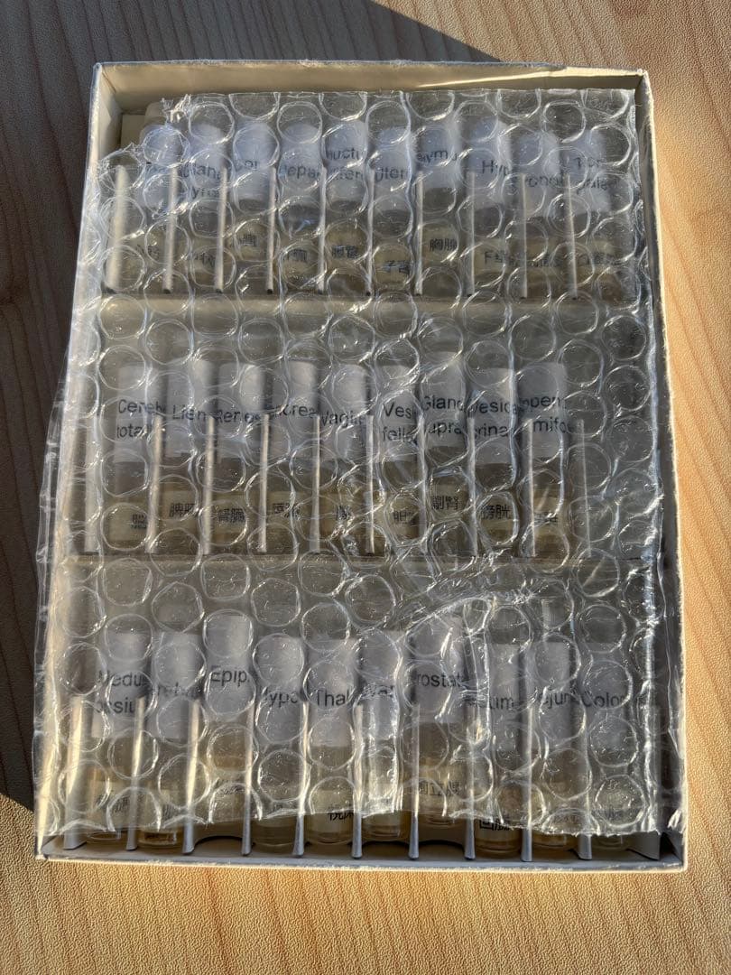 フィシオエナジェティック　臓器テストキット