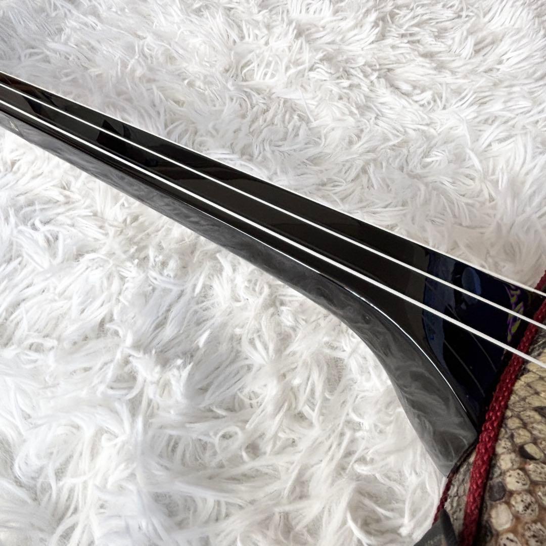 【極美品】三線 沖縄三線 本蛇皮 黒塗り 張り本皮 ソフトケース付き 付属品多数