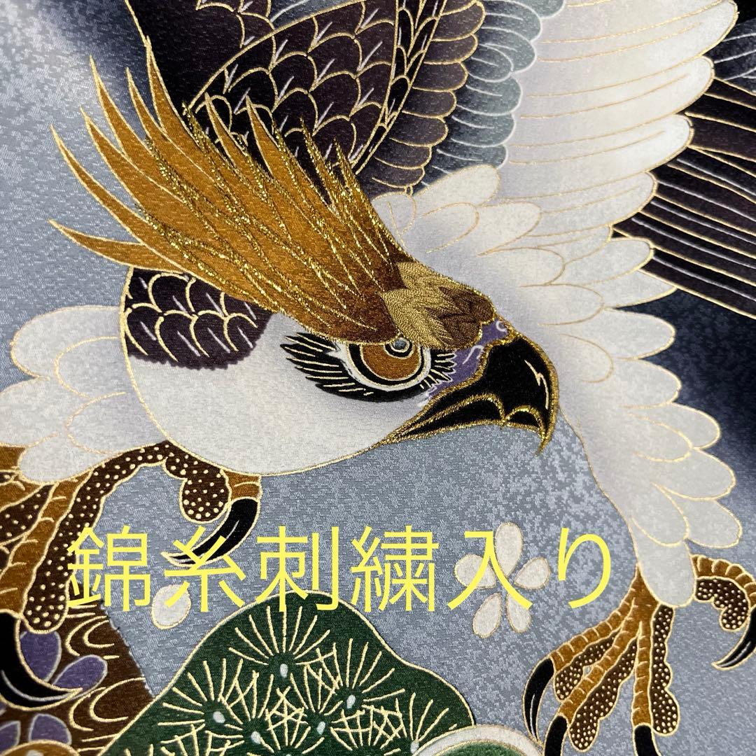 お宮参り 男児 祝い着 掛け着 熨斗目 鷹 黒◎美品