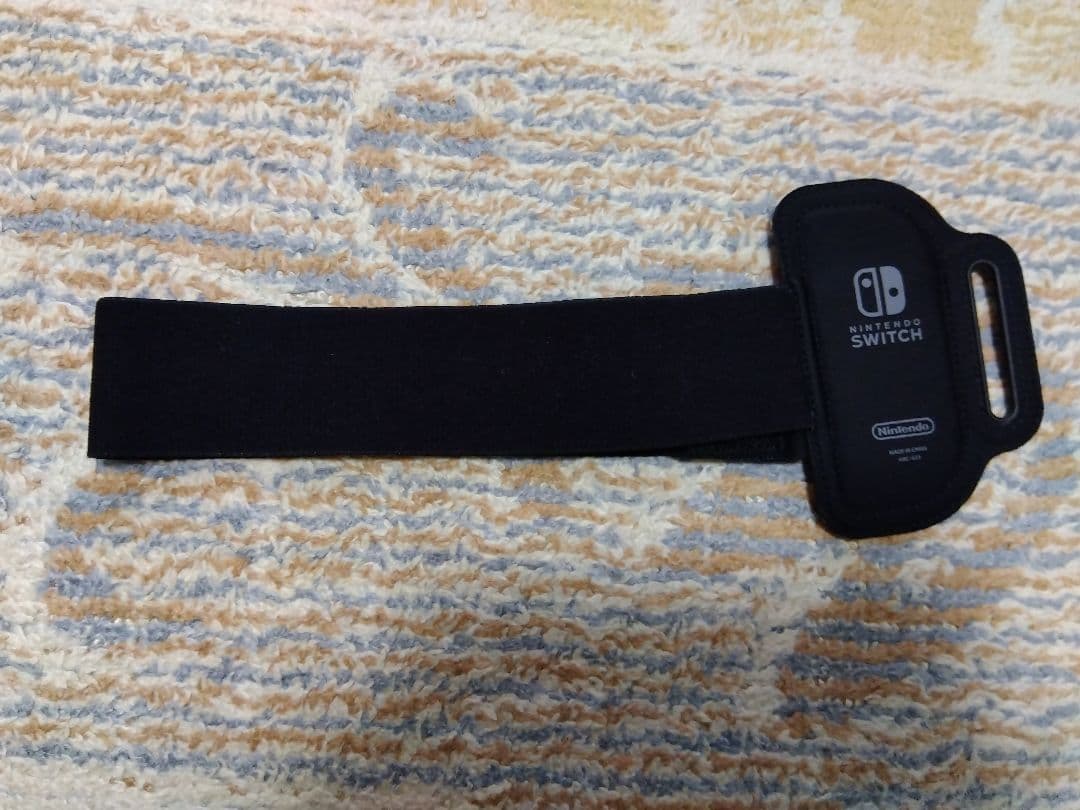 その他 NINTENDO Switch Ring Fit Adventure