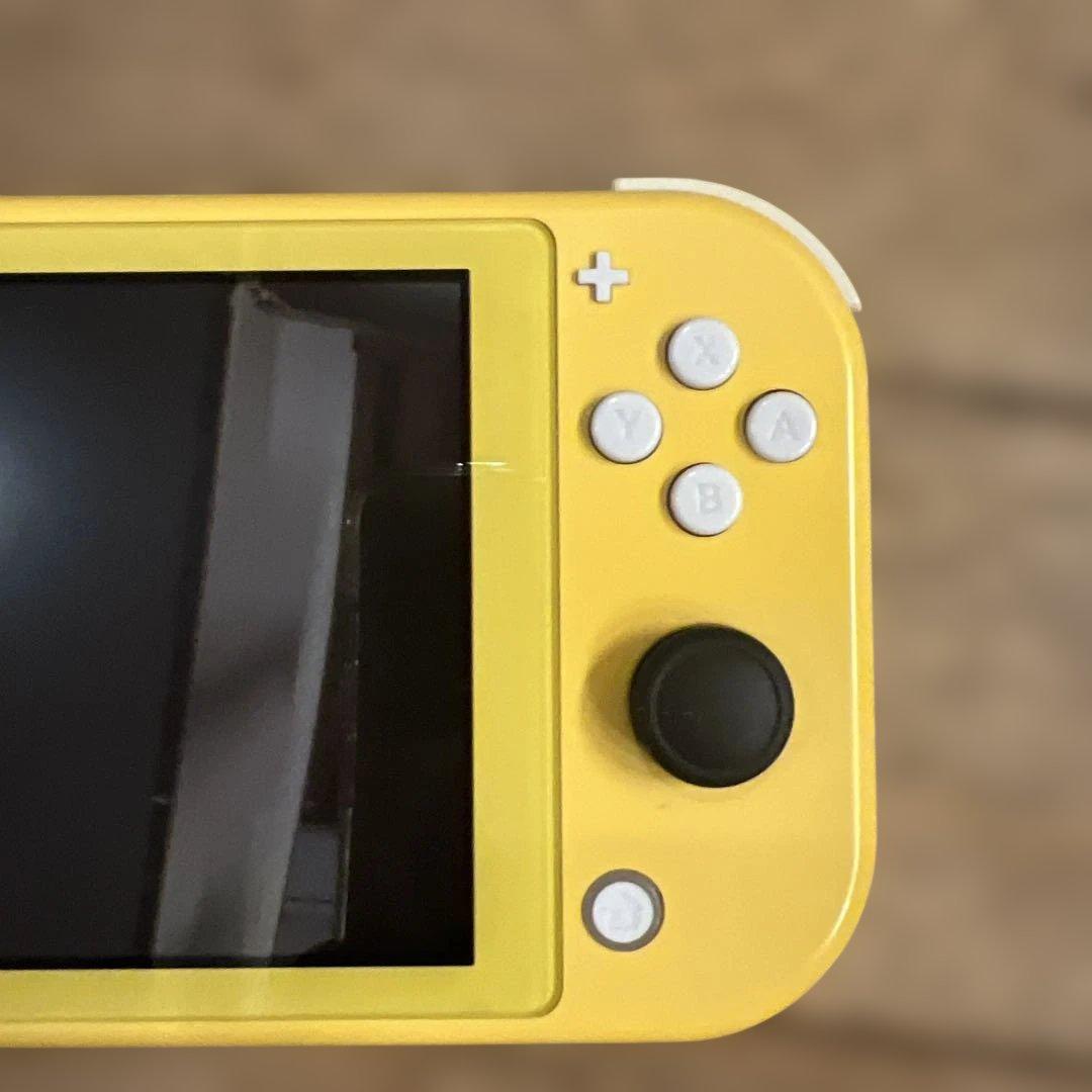 【ジャンク品】ニンテンドースイッチlite 充電器付
