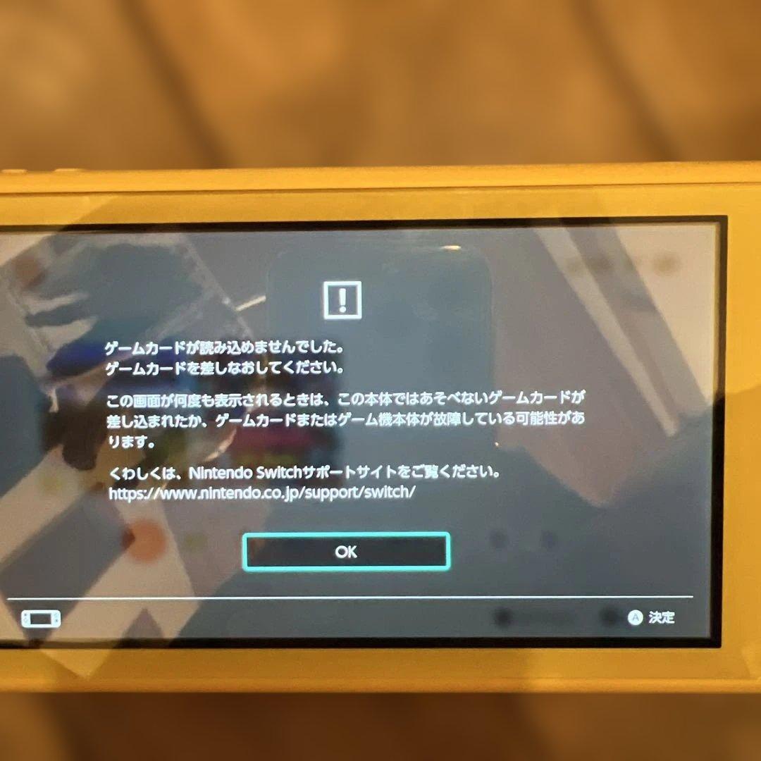 【ジャンク品】ニンテンドースイッチlite 充電器付
