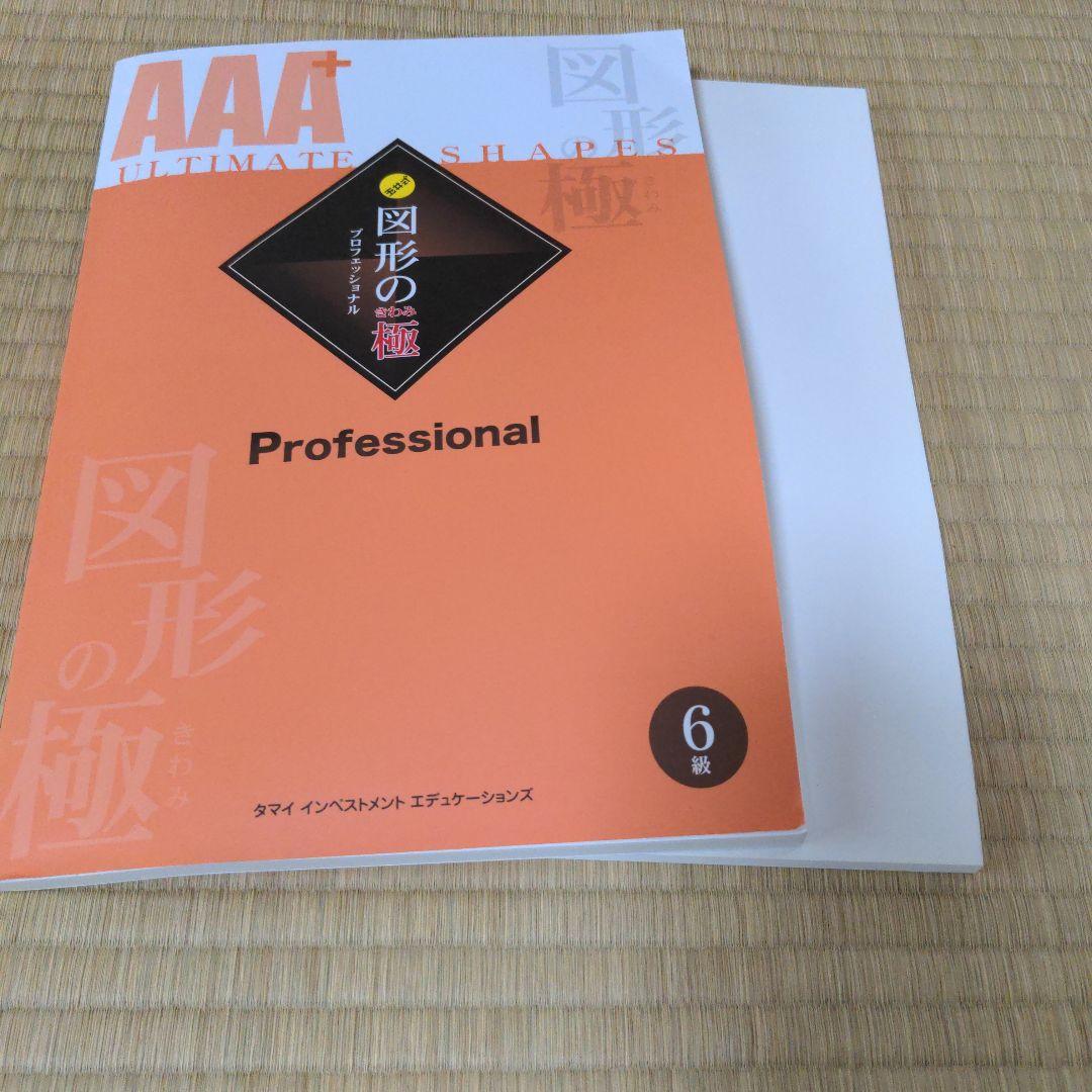新品未使用　図形の極プロフェッショナル　5級6級