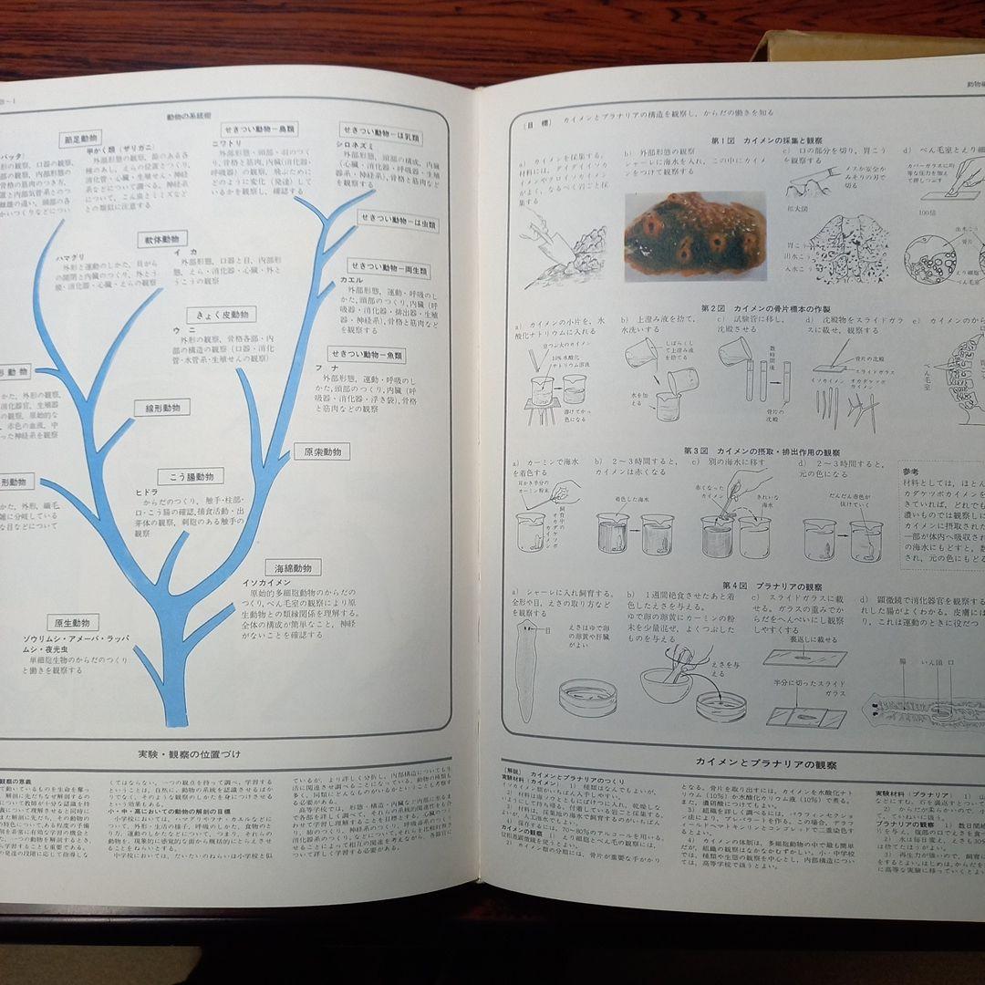理科実験大事典　生物編