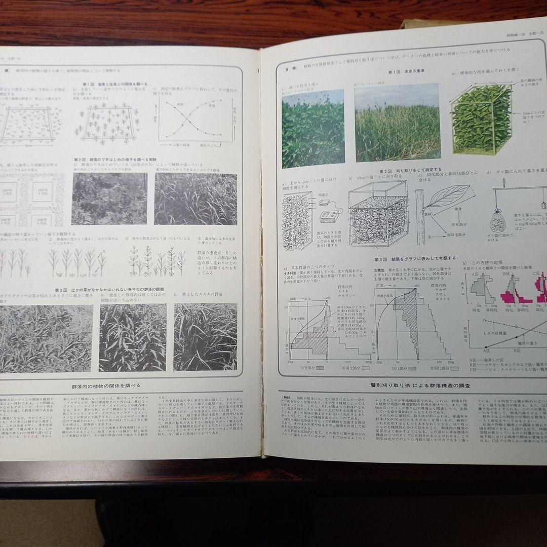 理科実験大事典　生物編