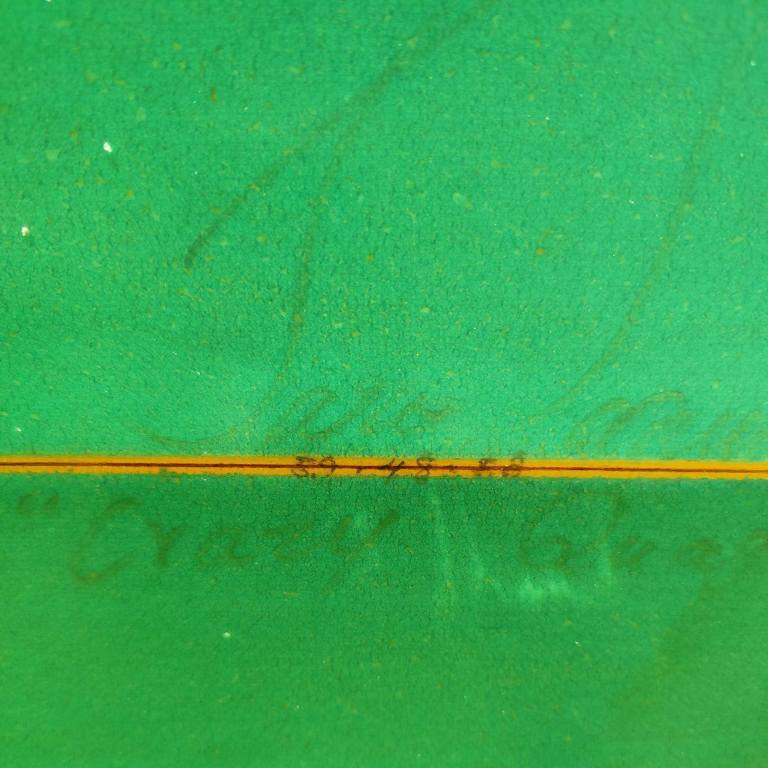 訳あり 変態ボード クアッド フィッシュ クワガタ ボードケース フィン付き