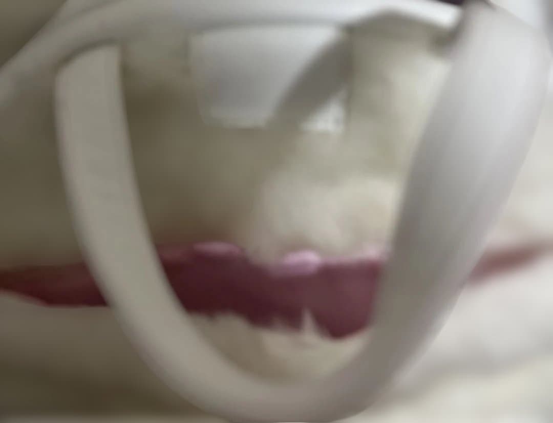 Angelic Pretty/ミルキーベアー3wayショルダーバッグ