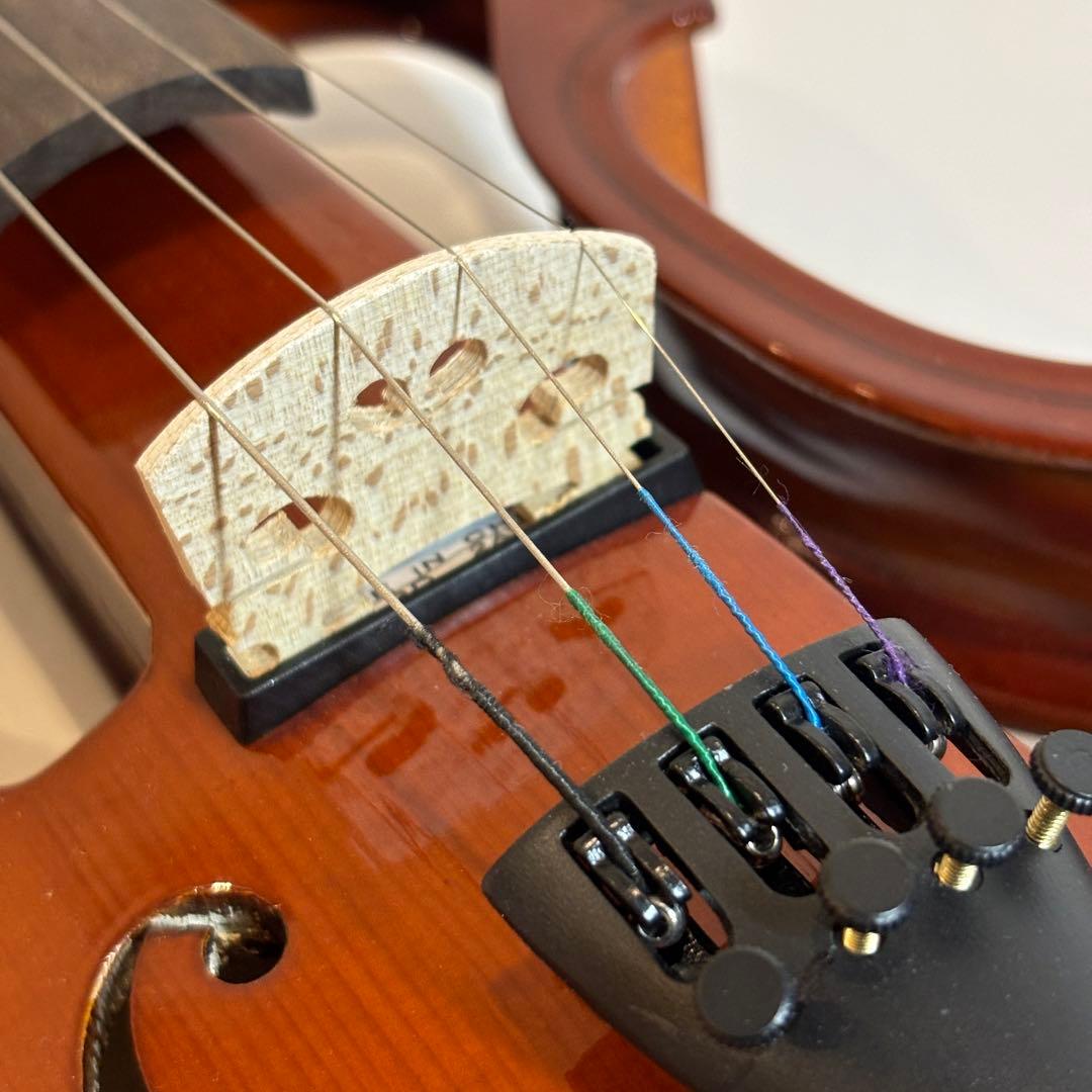 美品【SALE‼️〜3/18】HALLSTATT CV-210E エレキバイオリン