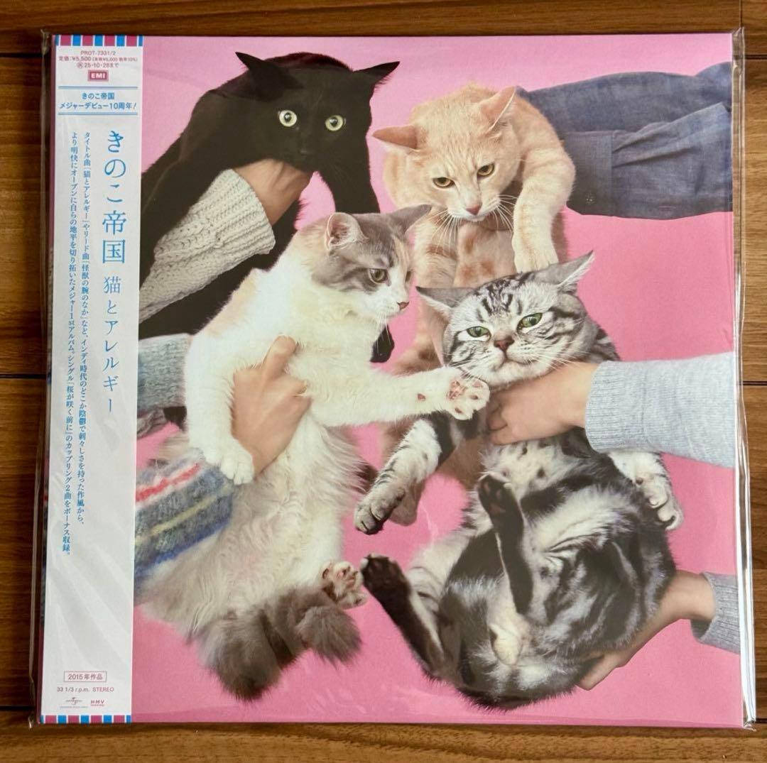 【棚田】きのこ帝国 / タイム・ラプス　猫とアレルギー　セット