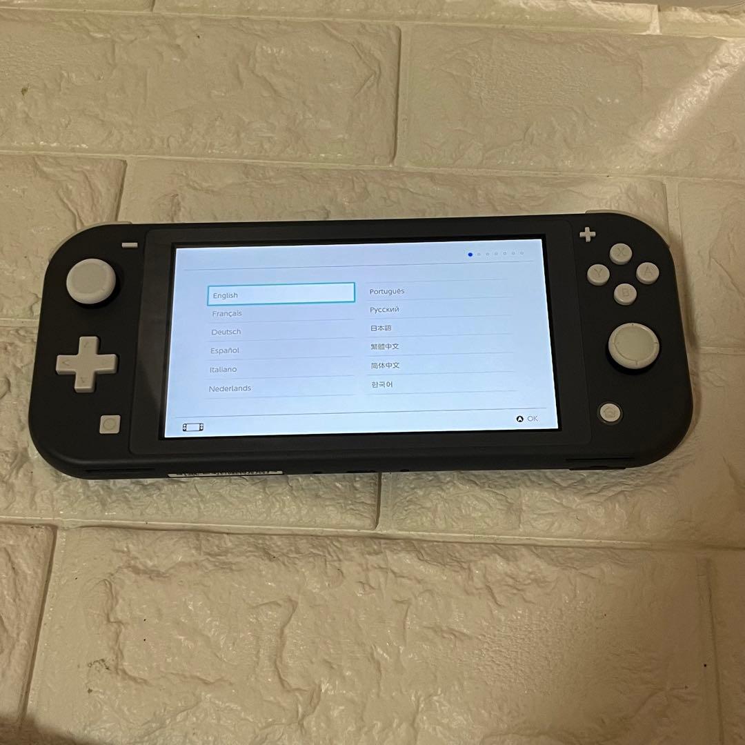 2024年製　Nintendo Switch Lite グレー 本体 アダプター