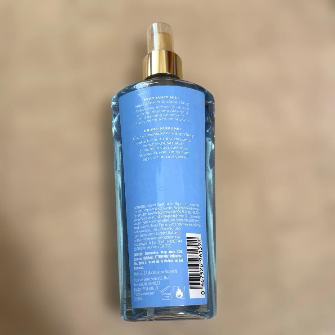 希少・廃盤♡ENDLESS LOVE♡ボディミスト