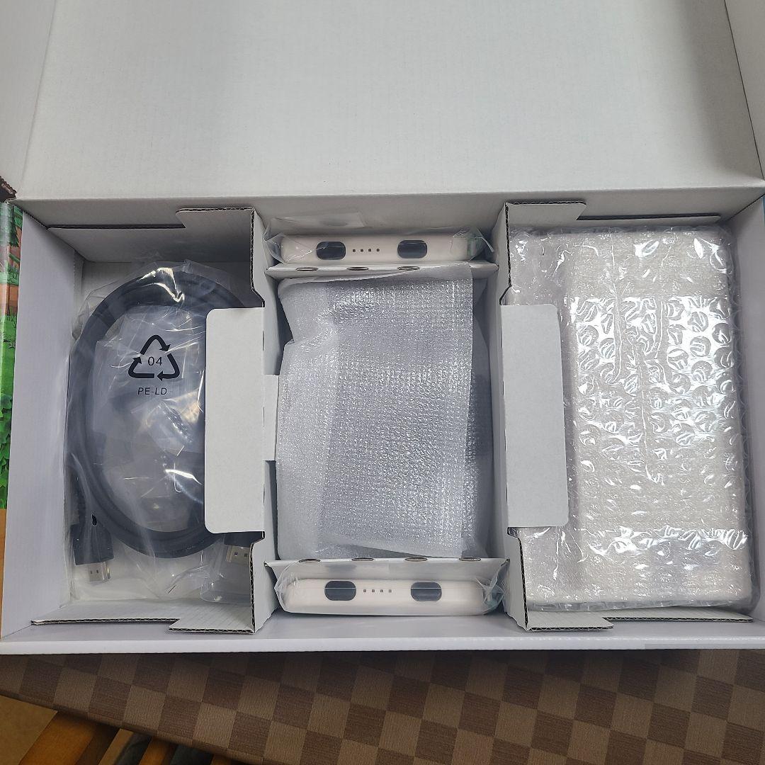 Nintendo Switch あつまれ どうぶつの森セット