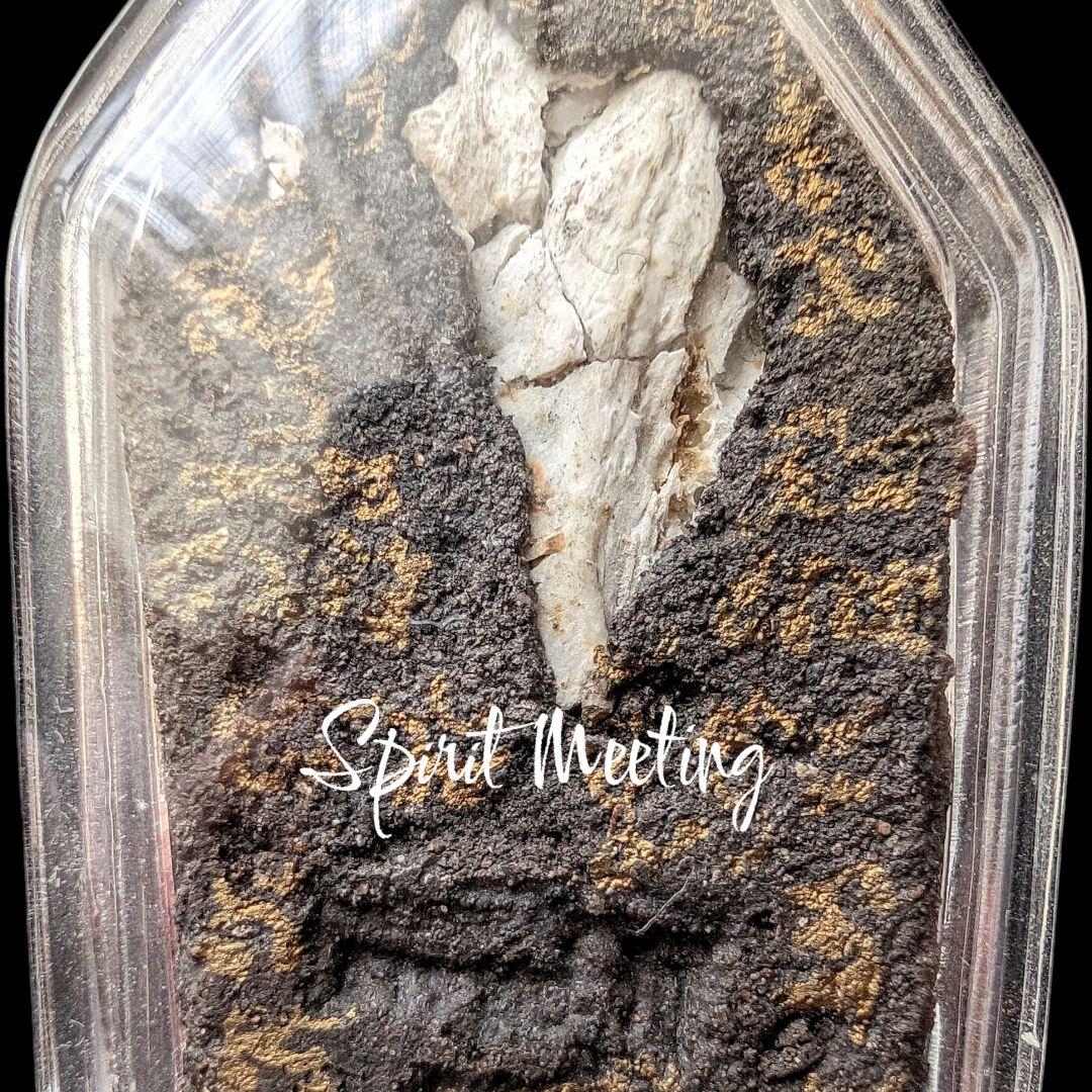 呪術系プラクンペーンの至宝　2554一期陰法十四靈鬼法坤平　プラクルアン