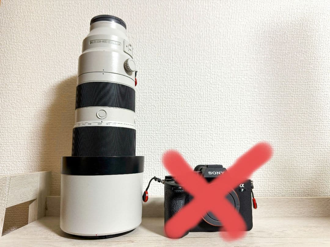 SONY　200-600G　ズームレンズ　望遠レンズ