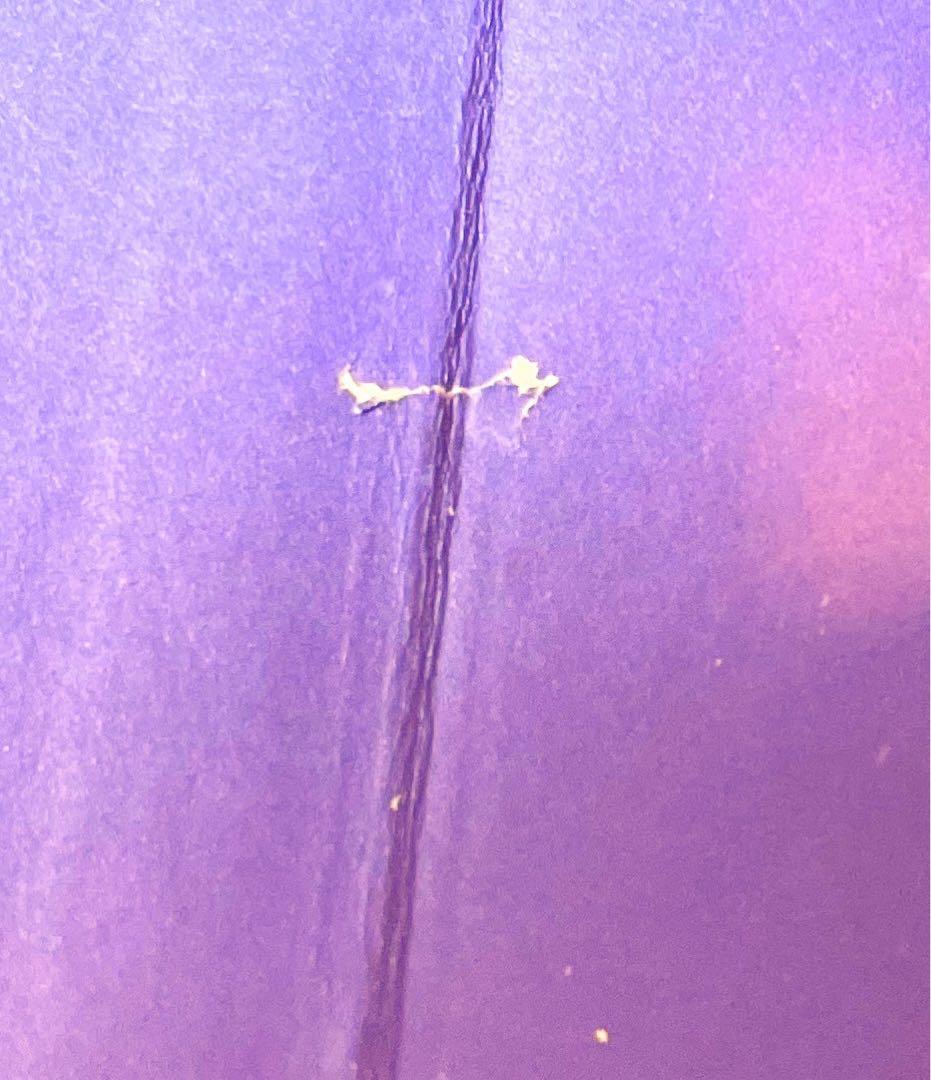 クネッケ博士のおかしな旅　小林信彦✖️小林泰彦