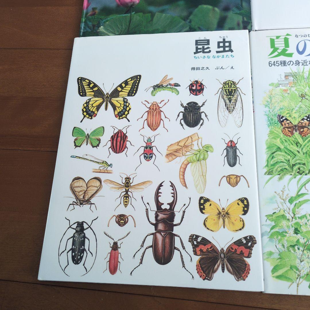 幼児〜大人まで 楽しめる本 12冊 18,480円