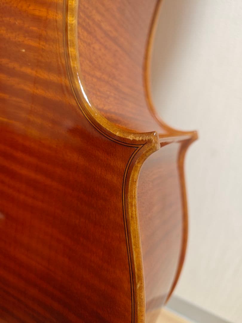 【Tm】Pygmalion Rubino 350S　チェロ