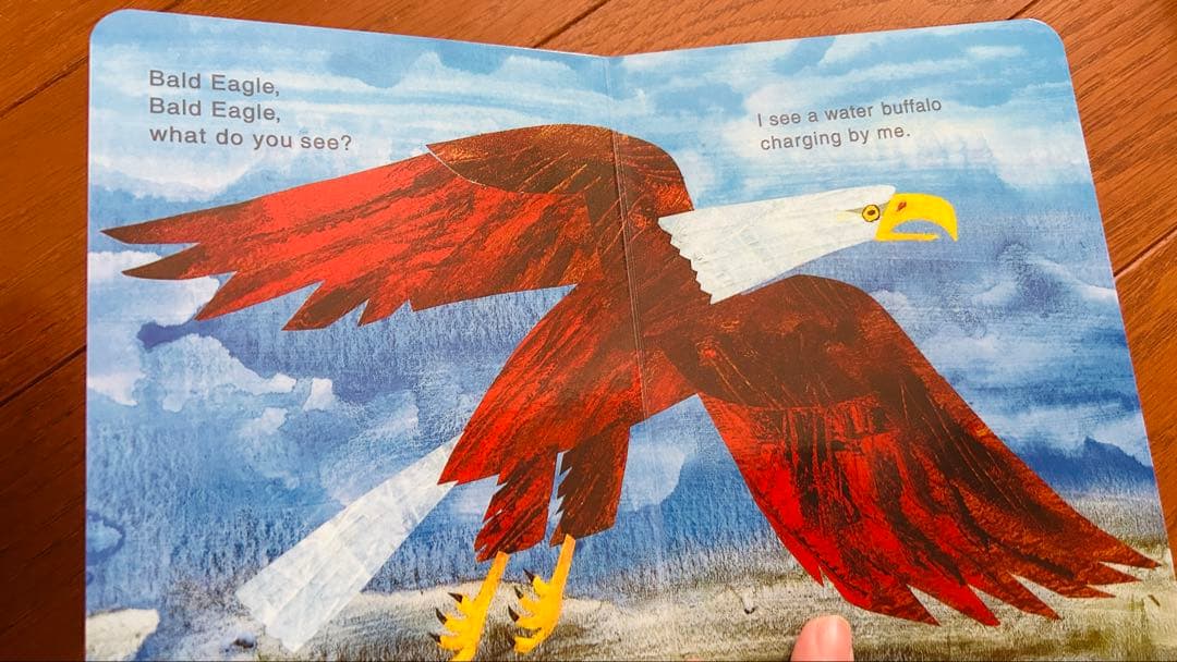 TM Eric carle/brown bear絵本セット10冊