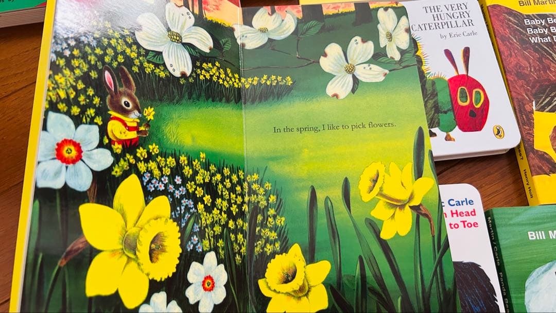 TM Eric carle/brown bear絵本セット10冊