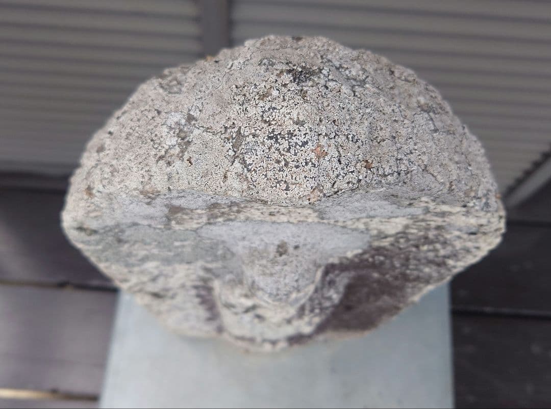 江戸期38センチ　骨董　石彫　お地蔵さん　地蔵菩薩　仏像　神像　石仏　　民間信仰