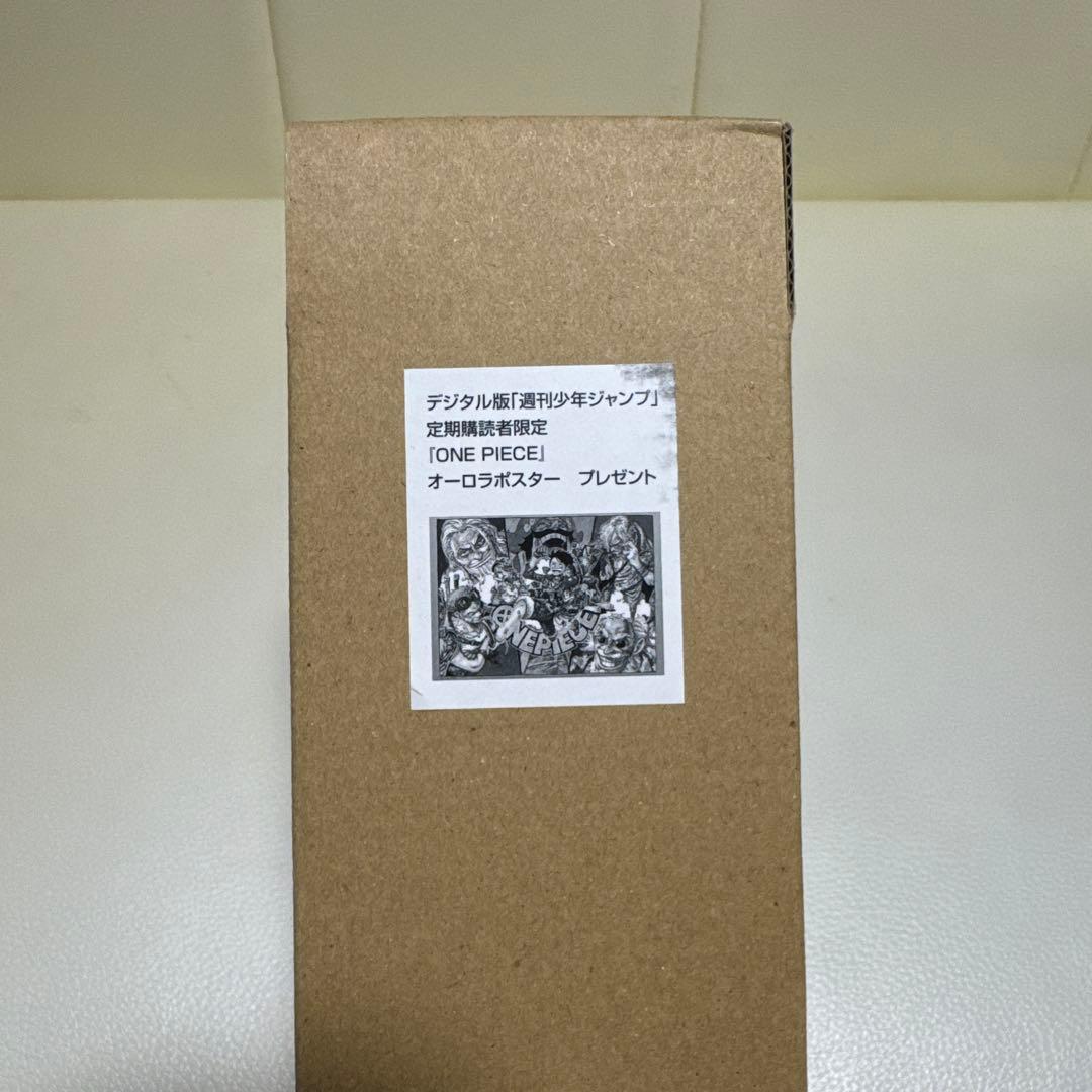 ONE PIECE オーロラポスター B2サイズ