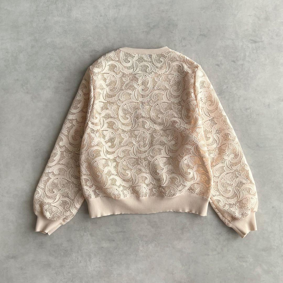 ANAYI レースブルゾン アナイ　ピンクベージュ　2024SS 38