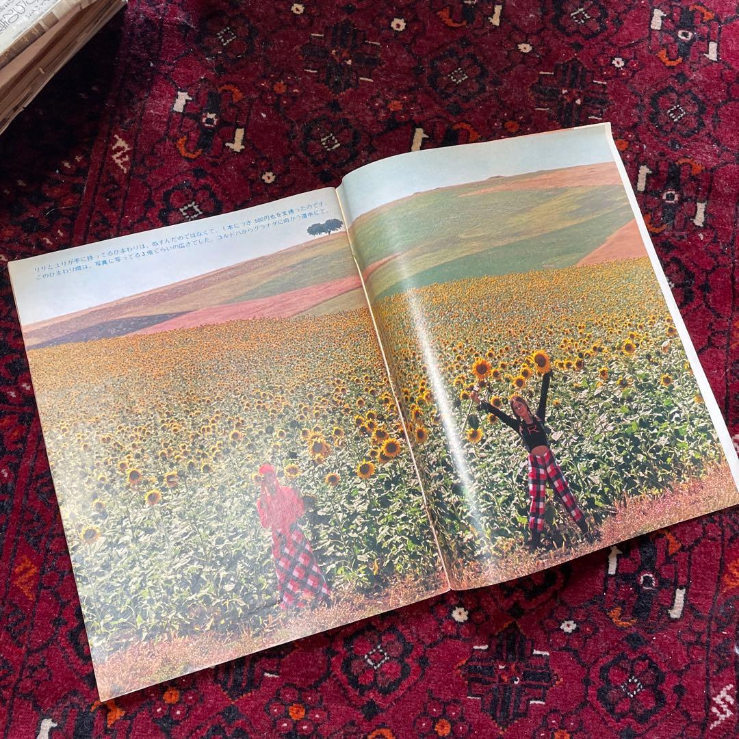 vintage an・an no.13