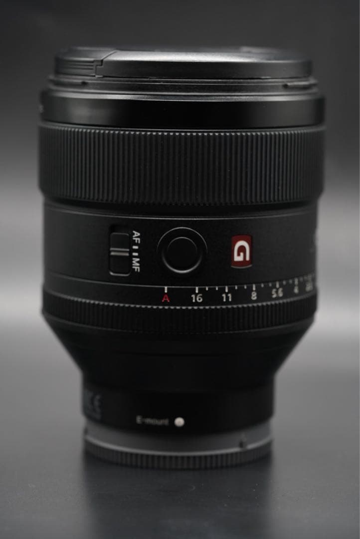 Sony FE 85mm F1.4 GM SEL85F14GM 防湿庫保管