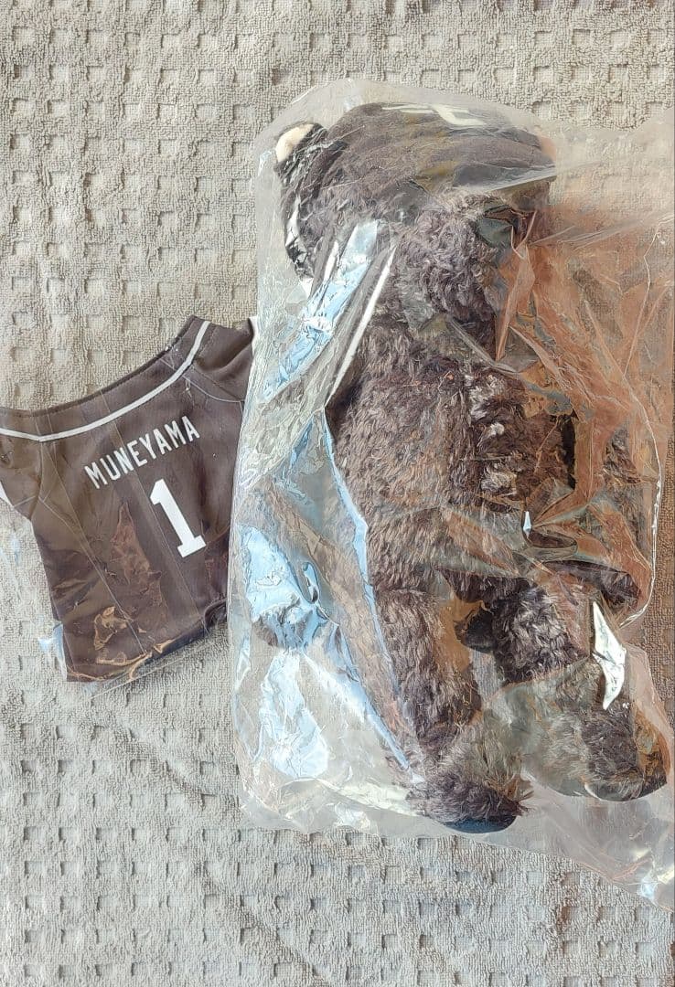 イーグルスベア 2025 #1 宗山選手