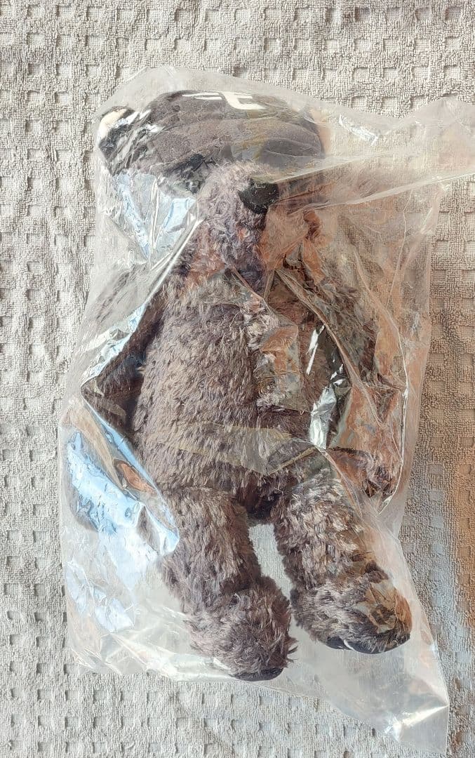 イーグルスベア 2025 #1 宗山選手