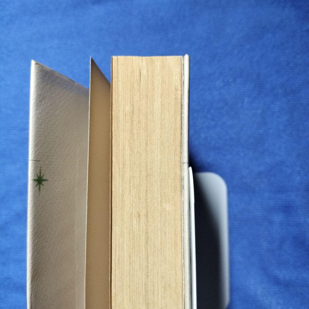 光の国 あるいは Voyage en Vain　リゾーム群書1　丹生谷貴志