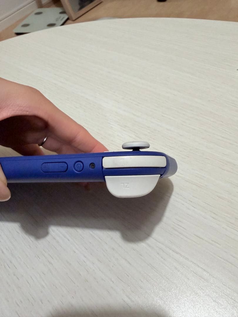 Nintendo Switch Lite 青 充電器付